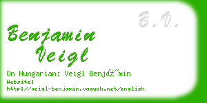 benjamin veigl business card